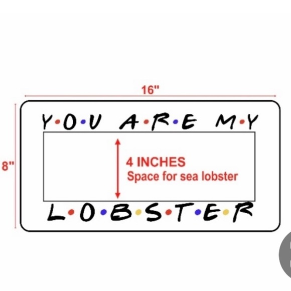 Friends TV Show Phoebe YOU ARE MY LOBSTER Pillow Lobster Embroidery Handmade NEW - Picture 13 of 16